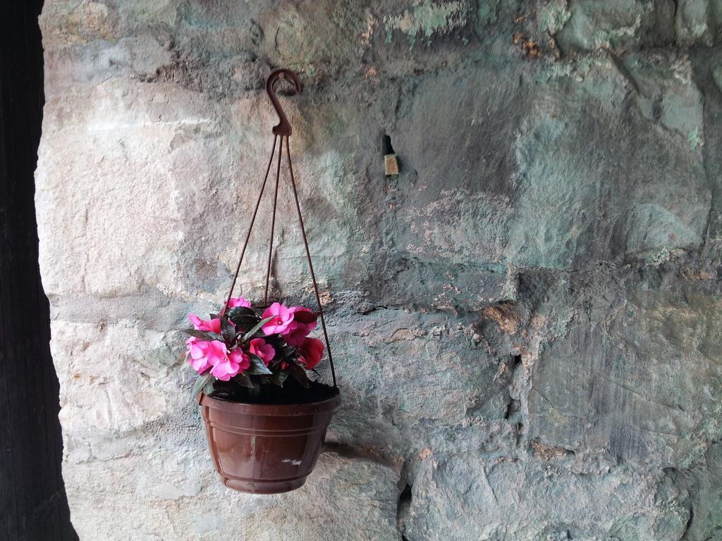 Apartman Bepina *